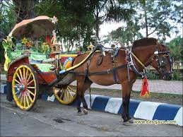 img (48)